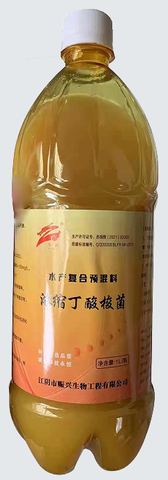 浓缩丁酸梭菌
