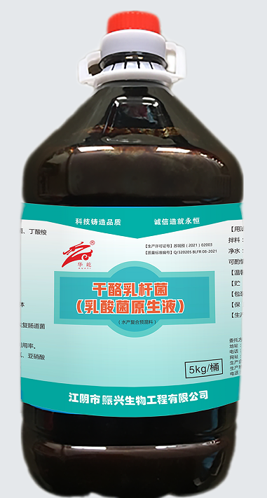 干酪乳杆菌
