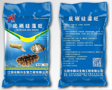 底栖硅藻旺